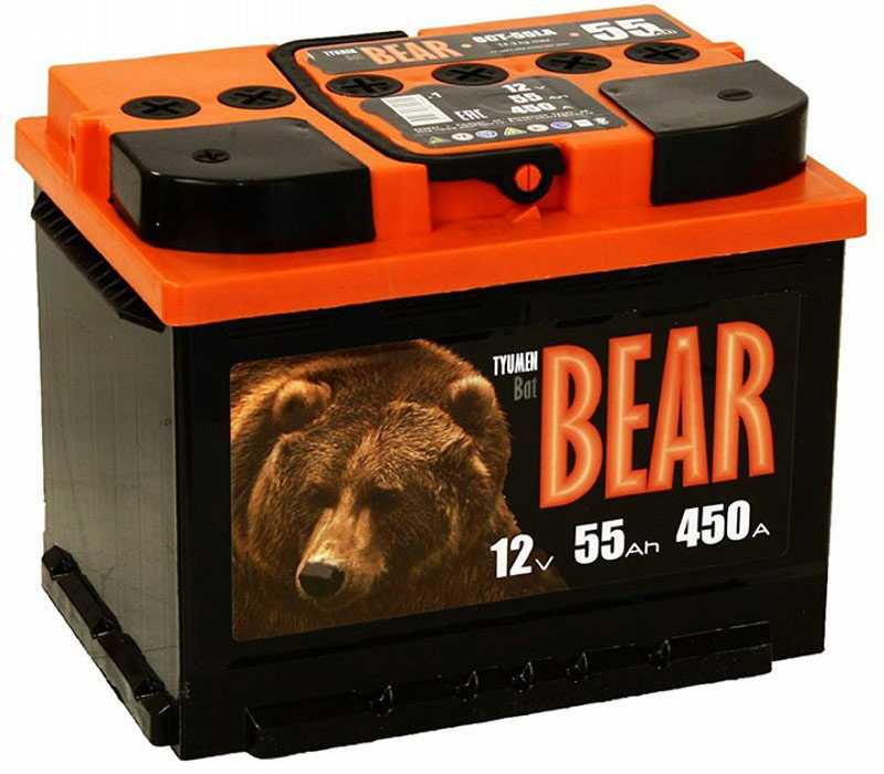 Аккумуляторная батарея Тюменский медведь