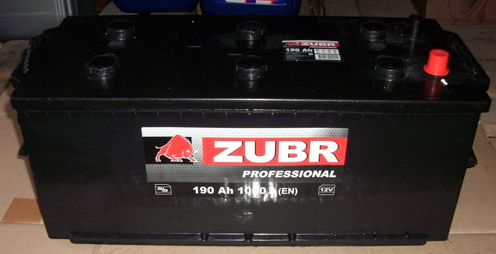 Zubr Professional R+